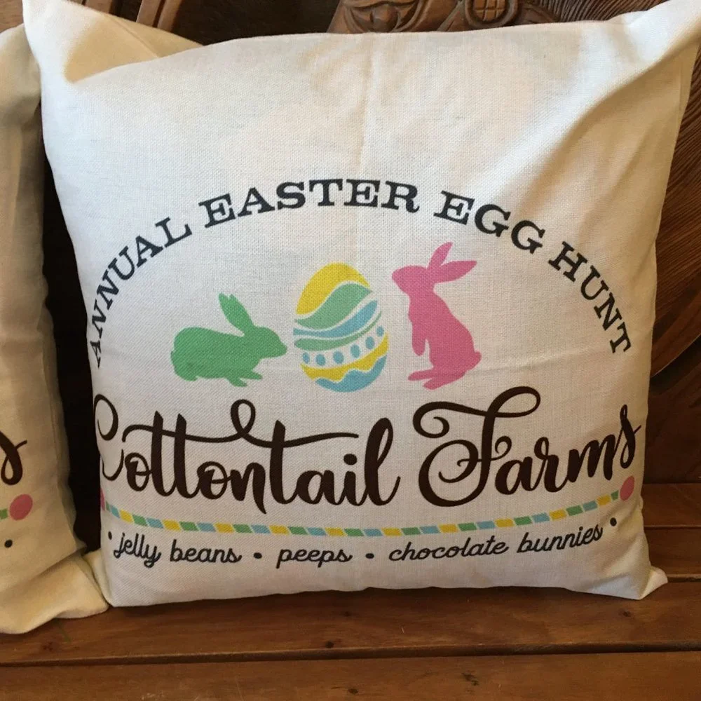 SET OF TWO (2) Easter Bunny Rabbit Pillow Cover 18 x 18 Cottontail Farms NEW